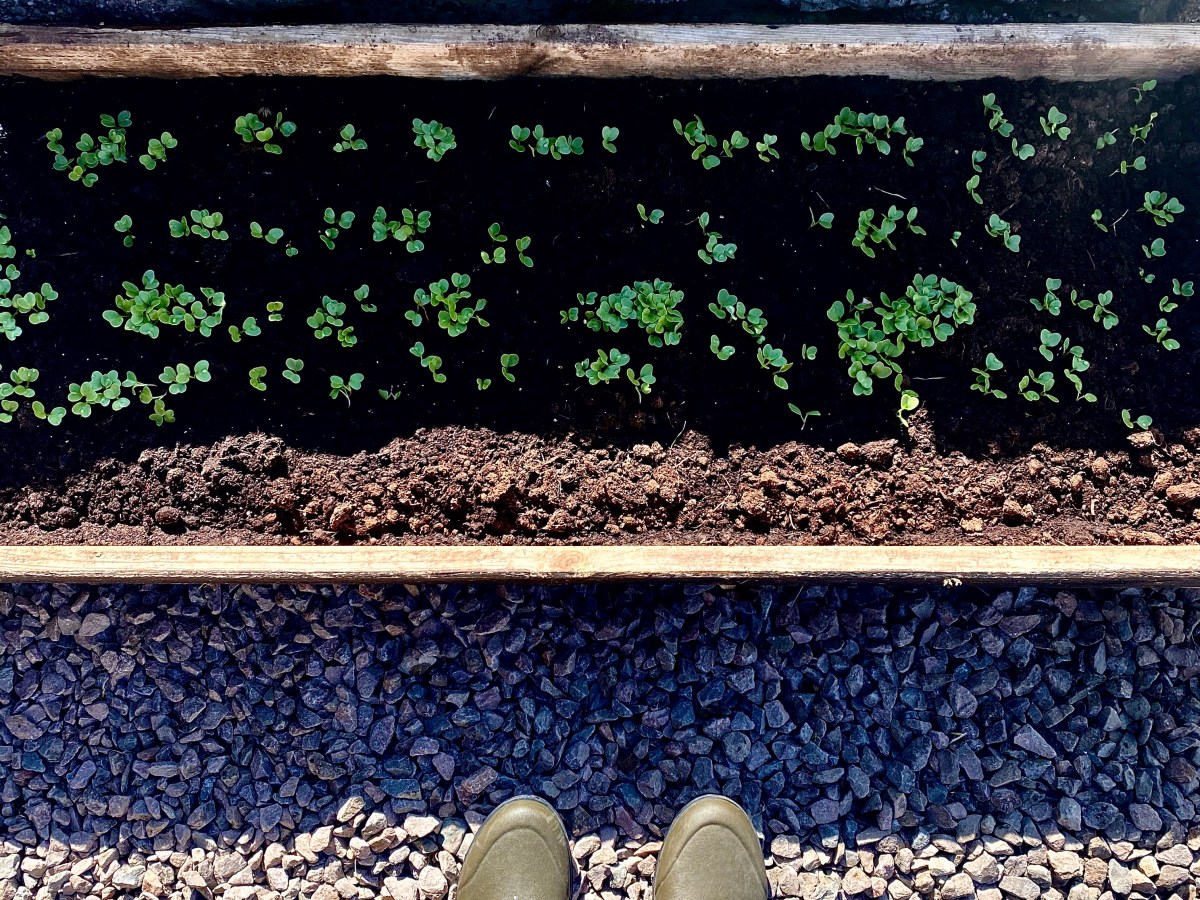 Digging in the hope of victory!