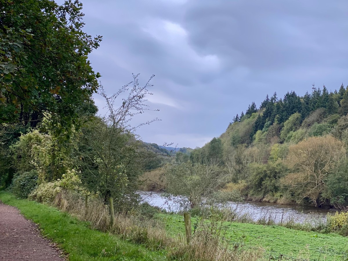 A Slow Autumn – rediscovering lost mindfulness.