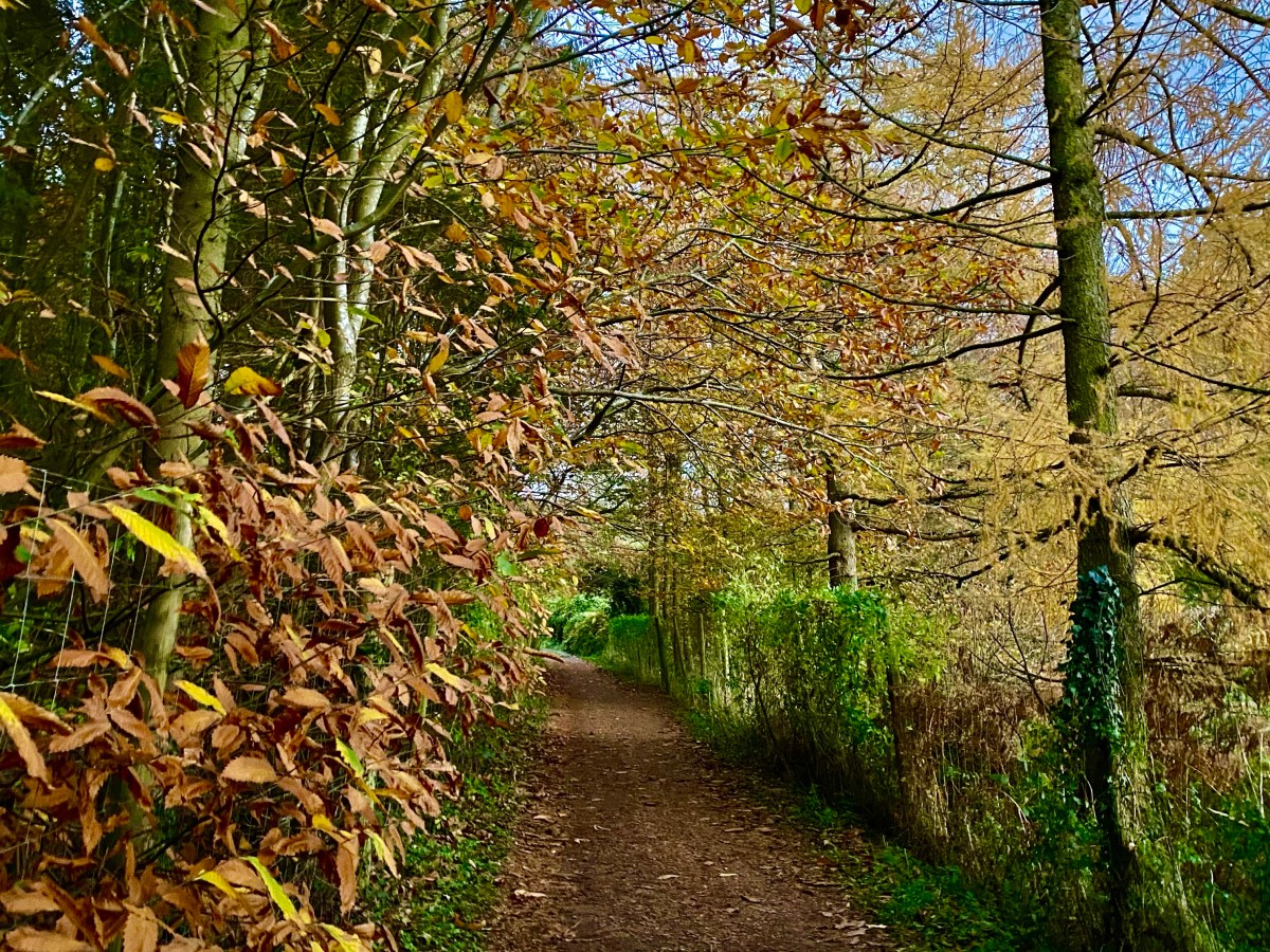 My Wye Valley Autumn Weekend Break Bucket List