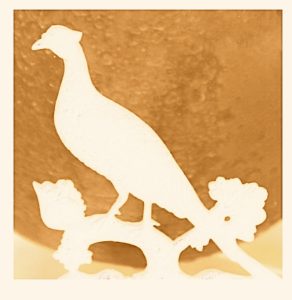 The Pheasant Philosopher