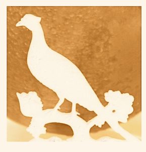 Seasoned with Slow from The Pheasant Philosopher